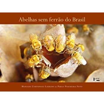 Abelhas sem Ferrão do Brasil