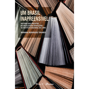 Um Brasil inapreensível: história dos projetos da Enciclopédia Brasileira do Instituto Nacional do Livro 